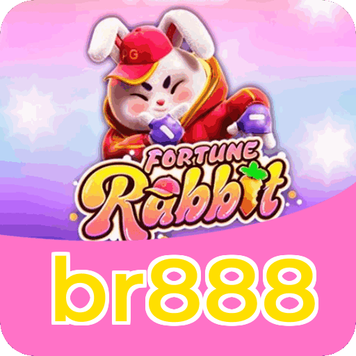 Suporte br888